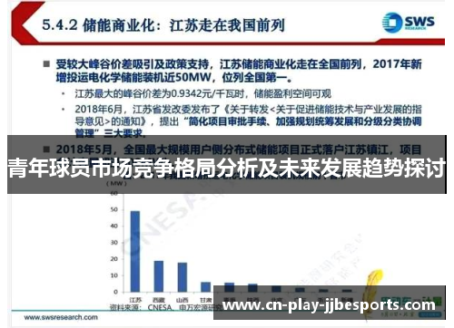青年球员市场竞争格局分析及未来发展趋势探讨 青年球员市场竞争格局分析及未来发展趋势探讨
