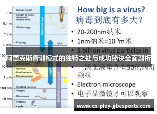 阿贾克斯青训模式的独特之处与成功秘诀全面剖析